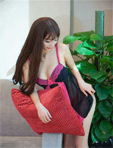 《红楼梦》