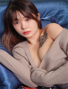 《龙珠gt粤语》